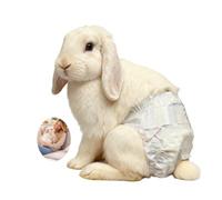 Rabbit Diapers for Indoor Use, 10-Pack - Designed for Couch, Bed & Holding, Absorbent, Leak-Resistant & Breathable Design (S, Count, 10)
