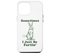 Rabbit Fart Funny Bunny Easter Sometimes I Just Be Fartin' Case for iPhone 12 Pro Max