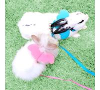 Rabbit Harness Adorable Angel Wings Leash Dog Cat Pet Vest Harness and Matching Leash Set (Pink)