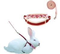 Rabbit Harness and Leash for Walking Escape Proof - Bunny Collar Harness Outdoor Camping Hiking Training - Also Suit for Ferret Kittn Puppy Small Animals (Large,red)