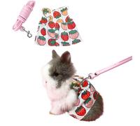 Rabbit Harness and Leash for Walking Escape Proof - Cute Mesh Breathable Bunny Vest Harness Outdoor Camping Hiking Training - Also Suit for Ferret Kittn Puppy Small Animals (Large)