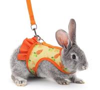 Rabbit Harness and Leash for Walking Escape Proof, Stylish Cute Fruit Pattern Bunny Dress Clothes Walking Harness Vest, Adjustable Small Animals Leash Set for Rabbit Hedgehog Ferret Guinea Pig Orang