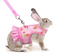 Rabbit Harness and Leash for Walking Escape Proof, Stylish Cute Fruit Pattern Bunny Dress Clothes Walking Harness Vest, Adjustable Small Animals Leash Set for Rabbit Hedgehog Ferret Guinea Pig Pink L