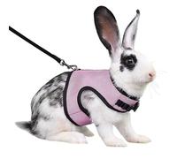 Rabbit Harness and Leash,Guinea Pig Escape Proof Bunny Harness and Leash Set, Cute Bunnies Vest Clothes Stuff Walking Ferret Kitten Puppy Small Pet Animals,Pink L