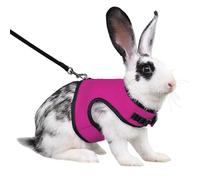 Rabbit Harness and Leash,Guinea Pig Escape Proof Bunny Harness and Leash Set, Cute Bunnies Vest Clothes Stuff Walking Ferret Kitten Puppy Small Pet Animals,Hot Pink M