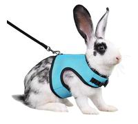 Rabbit Harness and Leash,Guinea Pig Escape Proof Bunny Harness and Leash Set, Cute Bunnies Vest Clothes Stuff Walking Ferret Kitten Puppy Small Pet Animals,Blue M