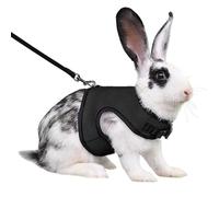 Rabbit Harness and Leash,Guinea Pig Escape Proof Bunny Harness and Leash Set, Cute Bunnies Vest Clothes Stuff Walking Ferret Kitten Puppy Small Pet Animals,Black XL