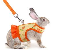 Rabbit Harness and Leash Set, Bunny Vest Guinea Pig Clothes Ferret Rats Hamster Escape-Proof Soft Mesh Cute Carrot Pattern for Chinchilla Small Animals Pet Kitten Puppy Orange M