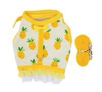 Rabbit Harness and Leash Set | Fruit Print Lace Trim Vest with Hook & Loop | Adjustable Ferret/Chinchilla/Small Pet Harness | Escape - Minimizing Protection Buckle (L)