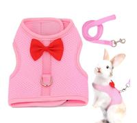 Rabbit Harness and Leashes - Rabbit Harness, Breathable Mesh Rabbit Costume, Vest Harness and Leashes, Lightweight, Escape Proof Bunny Harness Set for Kittens