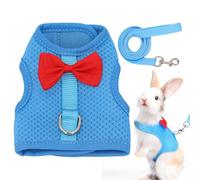 Rabbit Harness Set Mesh Rabbit Outfit Escape Proof Lightweight Bunny Leashes Breathable Small Animal Vest Harness For Kittens