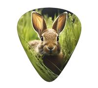 Rabbit in the bush Printed pick set - 12 pieces, thin, medium and thick guitar picks, suitable for guitar, bass, electric guitar and ukulele