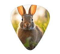 Rabbit in the grass printed guitar picks, 12-piece set with thin, medium, and thick styles, comes with a storage case