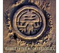 Rabbit in the Moon - Floori.D.a.