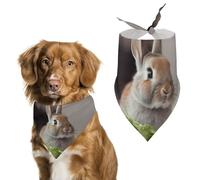 Rabbit is Eating Vegetables Dog Bandanas Adjustable Bib Handkerchief Party Pet Decorations Cute Dog Triangle Scarfs for Small Medium Puppy Cat Costume Accessory