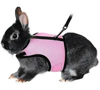 Rabbit Kitten Harness Cat Leash for Small Animal Adjustable Soft Harness and Lead Set for Bunny Cat Little Pet Walking (S:Chest(5.91"-7.87"), PINK)