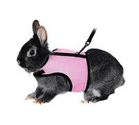 Rabbit Kitten Harness Cat Leash for Small Animal Adjustable Soft Harness and Lead Set for Bunny Cat Little Pet Walking (M:Chest(7.09"-9.84"), PINK)