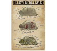 Rabbit Knowledge Metal Poster The Anatomy of A Rabbit Metal Tin Sign Wall Decorative Art Printing Poster 8x12 Inch