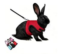 Rabbit Leash and Harness Set Escape Proof, Bunny Mesh Vest Eescape Proof Walking Training for Small Animal Pets Rat Squirrel Ferret Guinea Pig Bunny