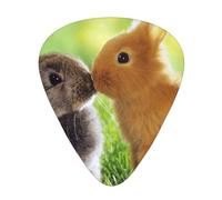 Rabbit Love Printed,12 Pcs Guitar Pick,3 Different Thickness Plectrums for Acoustic Guitar Bass Ukulele (0.46mm 0.96mm 0.71mm)