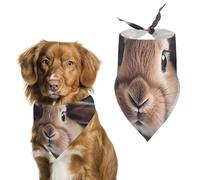Rabbit on Bed Pet Scarf Adjustable Pet Accessories Triangular Scarf Washable Floral Print Puppy Bib Bandana Stylish Comfortable Cat Scarves for Holiday Scarfs