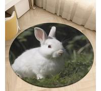 Rabbit on The Grass Area Rug Washable Circle Carpet Non-Slip Round Floor Rug Small Low Pile Waterproof Print Door Mat Pad Decor for Bedroom Living Room Bathroom Kitchen 80 * 80cm