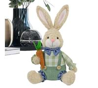 Rabbit Plush | Soft Spring Cute Pastoral Cartoon Doll | Easter Stuffed Bunny - for Your Girlfriend Children Men Kids Boys Girls Youth Teens Son Daughter Family Friends