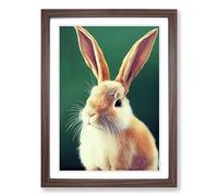 Rabbit Portrait Vol.3 Framed Print | A2 Walnut Framed Wall Art | Ready to Hang | Modern Animal Picture | Living Room Bedroom Lounge Office