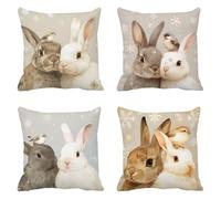 rabbit Sofa Cushion Covers 35 x 35 Outdoor Cushions Set of 4, snowflake Decorative Pillows Large Cushions, Velvet Cushion Cover Square Pillow Cases, for Bedroom Garden, Home Decor, a-861