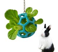Rabbit Treat Ball, Bunny Enrichment Toy with Stainless Steel Hanger Set, Veggie Feeding Rabbit Ball Toy to Slow Feeder for Bunny, Guinea Pig, Hedgehog, Squirrel, Tortoise, Pets Treat Balls Accessories