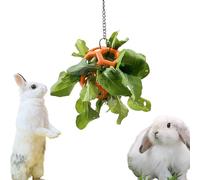 Rabbit Treat Ball Bunny Enrichment Toys with Stainless Steel Hanger Set, Veggie Feeding Rabbit Ball Toy for Bunny Hedgehog Tortoise Guinea Pig Rabbits, Pets Treat Balls Accessories (Orange)