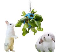 Rabbit Treat Ball Bunny Enrichment Toys with Stainless Steel Hanger Set, Veggie Feeding Rabbit Ball Toy for Bunny Squirrel Hedgehog Tortoise Guinea Pig Rabbits, Pets Treat Balls Accessories (Blue)