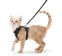 rabbitgoo Cat Harness and Lead Set, Adjustable Escape Proof Cat Lead for Walking, Reflective Kitten Harness Set, Soft and Comfortable for Small Cats, Black, XS