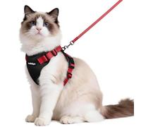rabbitgoo Cat Harness and Lead Set, Adjustable Escape Proof Cat Lead for Walking, Reflective Kitten Harness Set, Soft and Comfortable for Medium to Large Cats,Black & Red, M