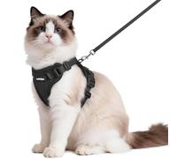 rabbitgoo Cat Harness and Lead Set, Adjustable Escape Proof Cat Lead for Walking, Reflective Kitten Harness Set, Soft and Comfortable for Medium to Large Cats, Black, M