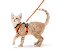 rabbitgoo Cat Harness and Lead Set, Adjustable Escape Proof Cat Lead for Walking, Reflective Kitten Harness Set, Soft and Comfortable for Small Cats, Orange, XS