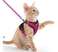 rabbitgoo Cat Harness and Lead Set, Adjustable Escape Proof Cat Lead for Walking, Reflective Kitten Harness Set, Soft and Comfortable for Kittens and Small Cats, Rose Red, XXS