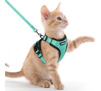 rabbitgoo Cat Harness and Lead Set, Escape Proof Kitten Harness with Leash, Metal Ring, Lightweight Soft, Reflective Adjustable Vest for Small Cat Walking Travel XXS (Pack of 1), Green
