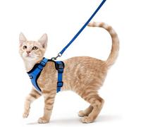 rabbitgoo Cat Harness and Lead Set, Escape Proof Kitten Harness with Leash, Metal Ring, Lightweight Soft, Reflective Adjustable Vest for Small Cat Walking Travel XS, Blue
