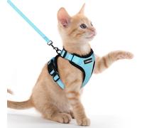 rabbitgoo Cat Harness and Lead Set, Escape Proof Kitten Harness with Leash, Metal Ring, Lightweight Soft, Reflective Adjustable Vest for Small Cat Walking Travel XXS, Sky blue