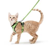 rabbitgoo Cat Harness and Lead Set, Escape Proof Kitten Harness with Leash, Metal Ring, Lightweight Soft, Reflective Adjustable Vest for Small Cat Walking Travel S (Pack of 1), Light Green
