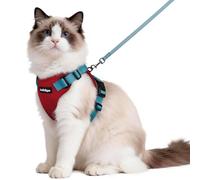 rabbitgoo Cat Harness and Lead Set, Escape Proof Kitten Harness with Leash, Metal Ring, Lightweight Soft, Reflective Adjustable Vest for Small Cat Walking Travel M (Pack of 1), Red & Teal