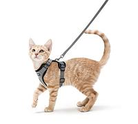 rabbitgoo Cat Harness and Lead Set, Escape Proof Kitten Harness with Leash, Metal Ring, Lightweight Soft, Reflective Adjustable Vest for Small Cat Walking Travel S, Grey