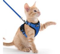 rabbitgoo Cat Harness and Lead Set, Escape Proof Vest, Blue | Soft Breathable Mesh, Adjustable Fit, Snap Buckles, Reflective Strips, with 1.5m Lead for Kittens & Small Cats Walks, XXS