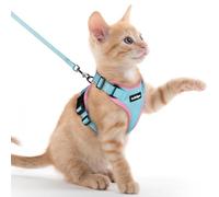 rabbitgoo Cat Harness and Lead Set, Escape Proof Vest, Light Blue & Pink | Soft Breathable Mesh, Adjustable Fit, Snap Buckles, Reflective Strips, with 1.5m Lead for Kittens & Small Cats Walks, XXS