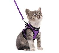 rabbitgoo Cat Harness and Lead Set, Soft Step-in Vest, Purple