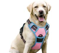 rabbitgoo Dog Harness Large Dog No Pull Pet Harness with 2 Leash Clips, Adjustable Soft Padded Pet Vest, Reflective No-Choke with Easy Control Handle for Training or Walking, Pink Blue L
