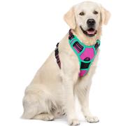 rabbitgoo Dog Harness Large Dog No Pull Pet Harness with 2 Leash Clips, Adjustable Soft Padded Pet Vest, Reflective No-Choke with Easy Control Handle for Training or Walking, Rose Red & Mint Green, XL