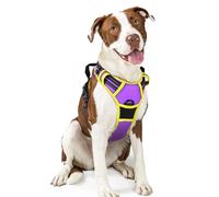 rabbitgoo Dog Harness Large Dog No Pull Pet Harness with 2 Leash Clips, Adjustable Soft Padded Pet Vest, Reflective No-Choke with Easy Control Handle for Training or Walking, Purple Yellow, L