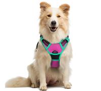 rabbitgoo Dog Harness Large Dog No Pull Pet Harness with 2 Leash Clips, Adjustable Soft Padded Pet Vest, Reflective No-Choke with Easy Control Handle for Training or Walking, Rose Red & Mint Green, M